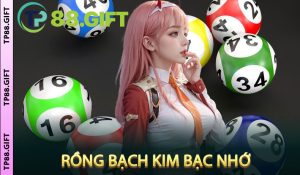 Rồng Bạch Kim Bạc Nhớ