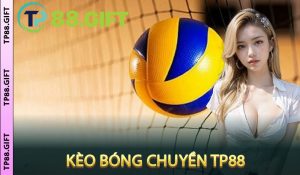 Kèo Bóng Chuyền