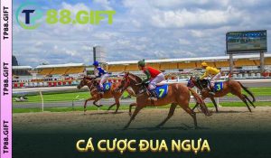 Cá Cược Đua Ngựa