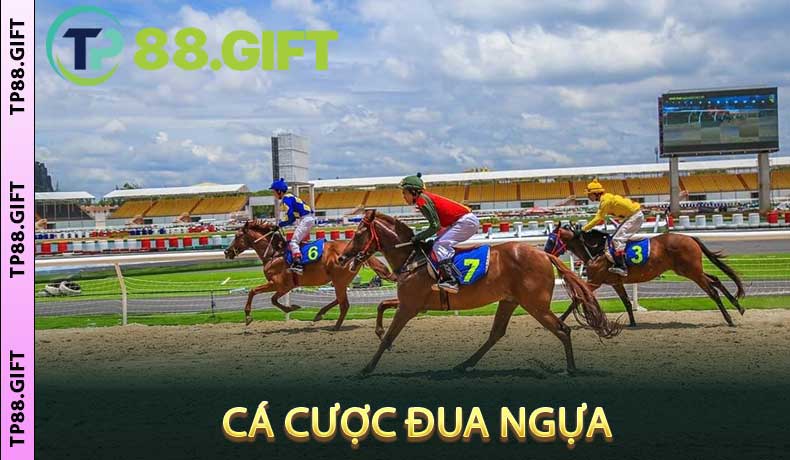 Cá Cược Đua Ngựa